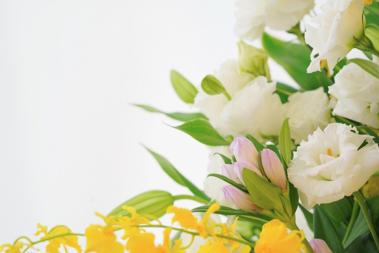 お葬式に花を飾る意味や由来とは 種類ごとの花言葉も紹介 神奈川県の葬儀 葬式 家族葬なら定額葬儀の 杉浦本店